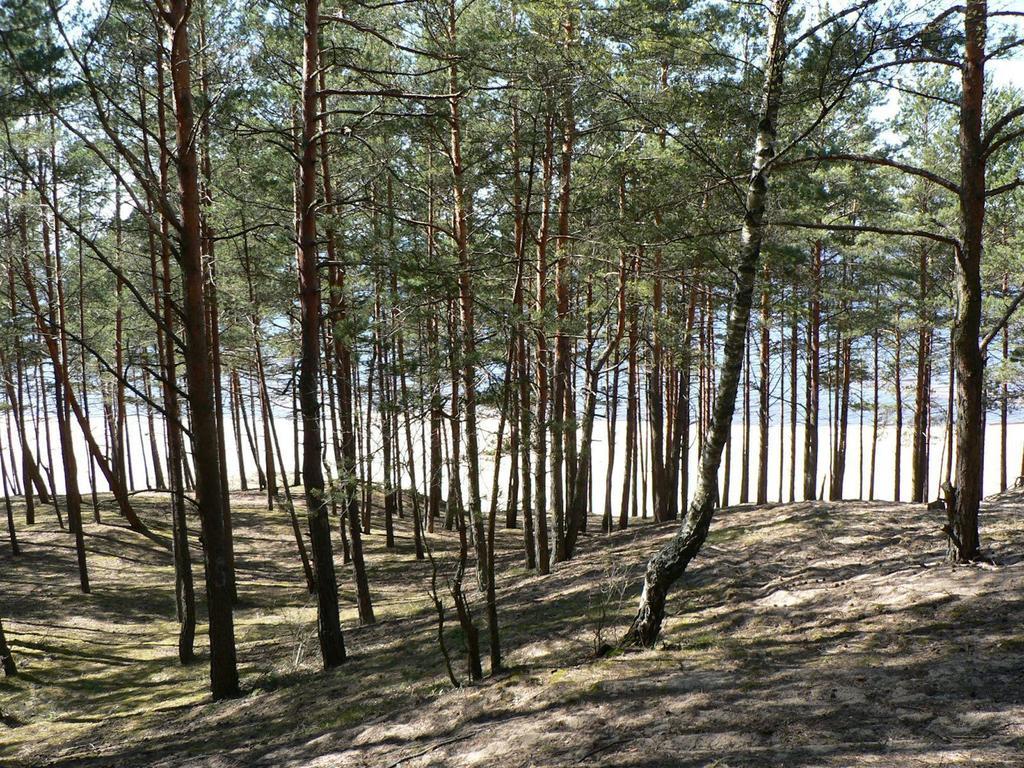 Krauklis Beach Apartments Saulkrasti Kültér fotó